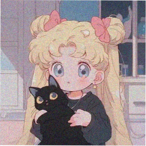 用户猫爪不凉的头像