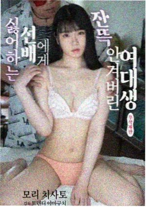 七猫电视剧候鸟归期在线观看